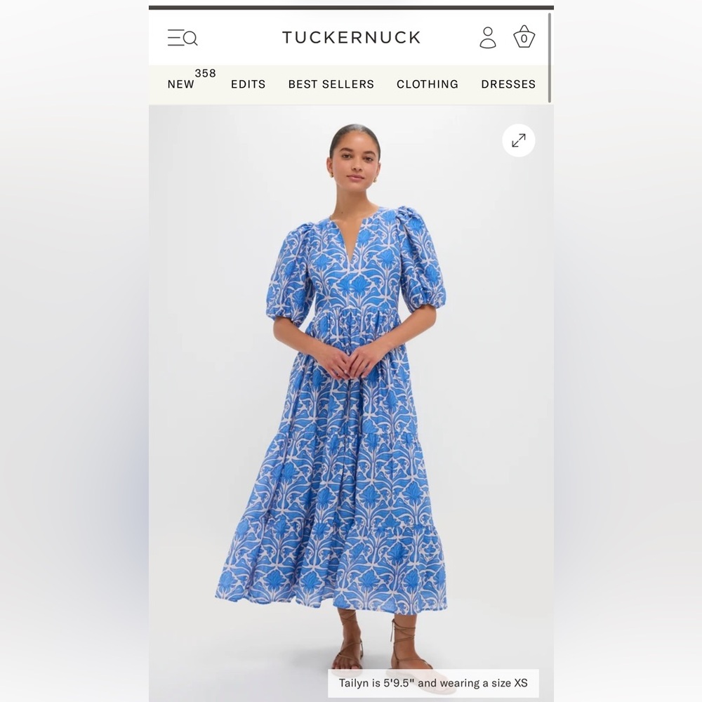 Tuckernuck Blue Floral V-Neck Puff Sleeve Maxi Dress